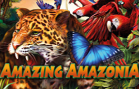 Amazing Amazonia
