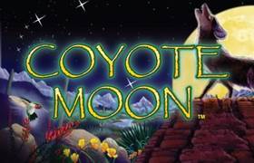 Coyote Moon